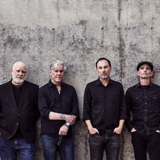 Toadies